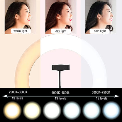 LED Ring Light Dimmable Selfie Ring Light USB Ring Lamp Photography Light with Phone Holder for Makeup Tiktok Video Live Lamps